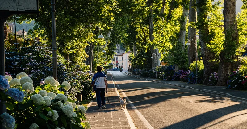 Le Marche: the region Italians keep for themselves